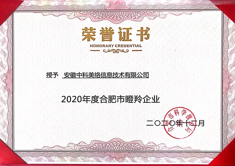 2020年合肥市瞪羚企業證書.jpg